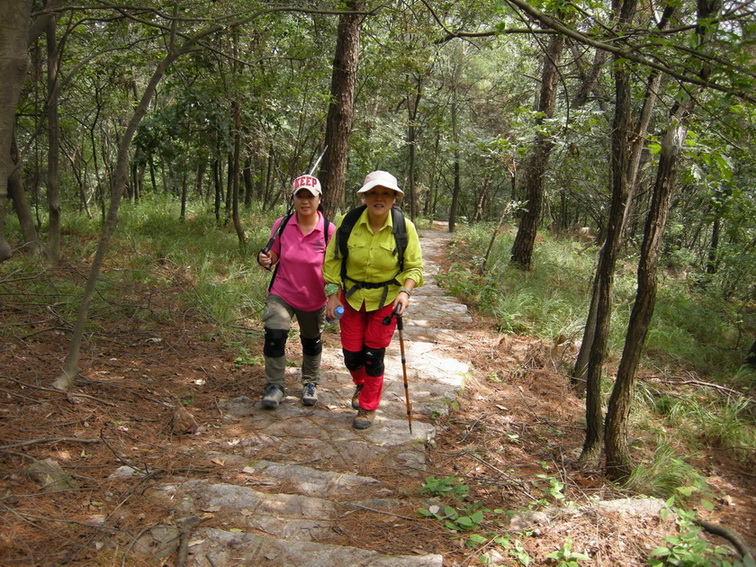 dscn9707.jpg
