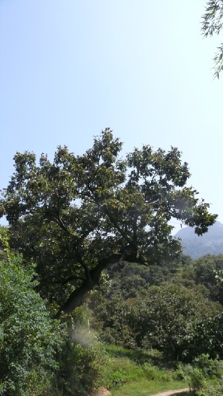 qqͼƬ20130915224114.jpg
