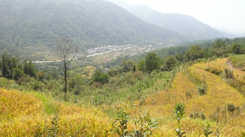 qqͼƬ20130915224313.jpg