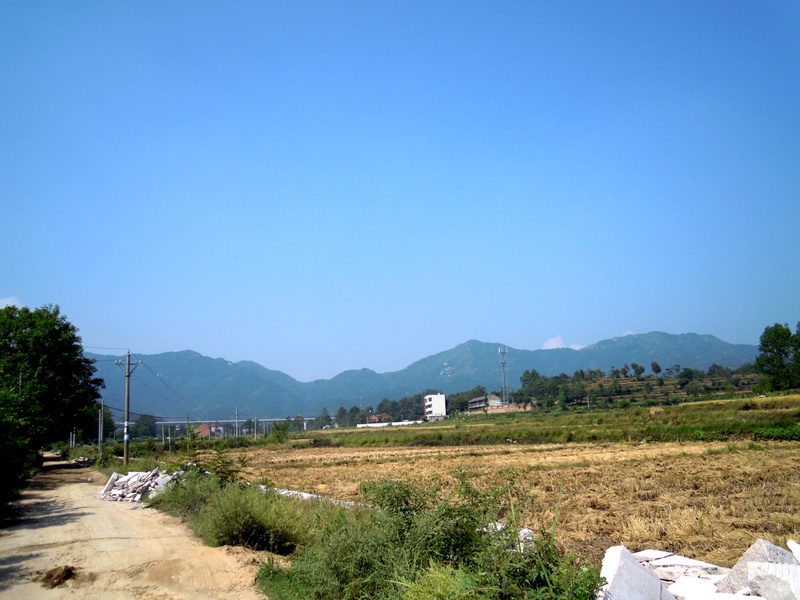 dscn5378.jpg