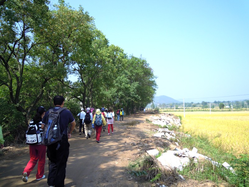 dscn5377.jpg