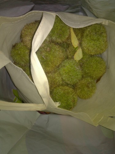 qqͼ20130916150419.jpg