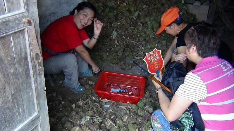 psb34.jpg