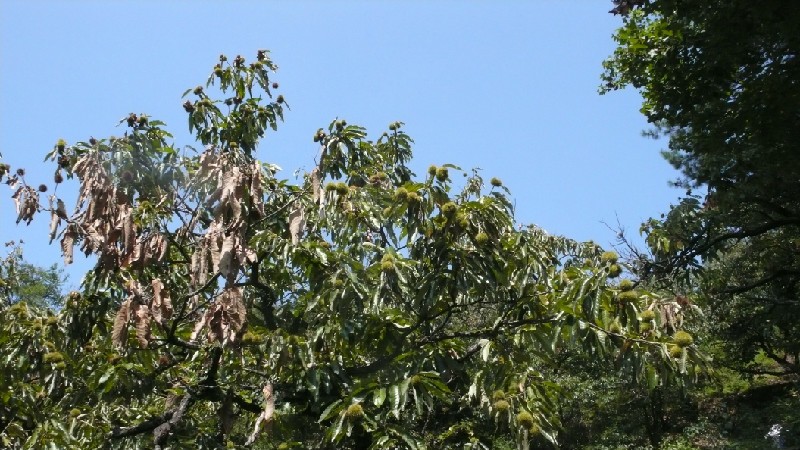 qqͼƬ20130916070947.jpg