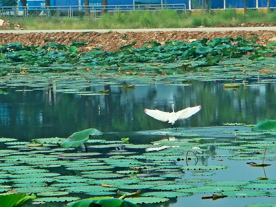 dsc02737 02.jpg