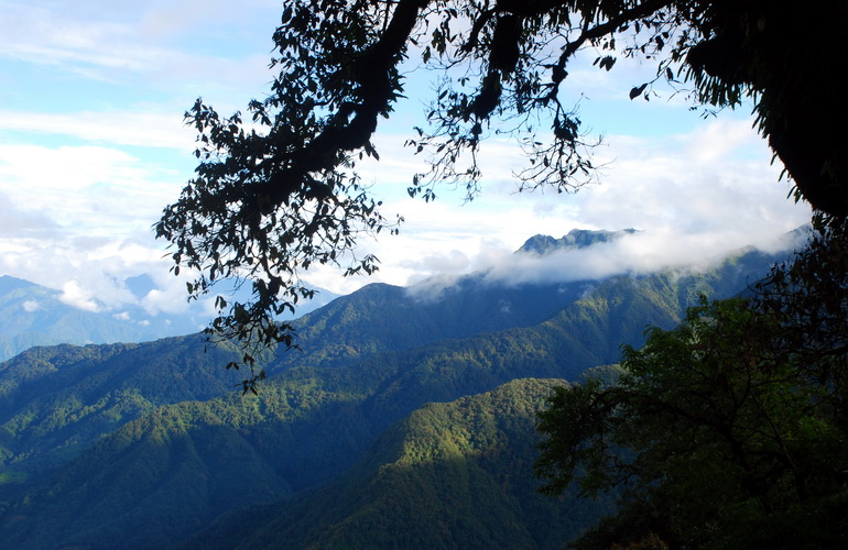 dsc_0363.jpg