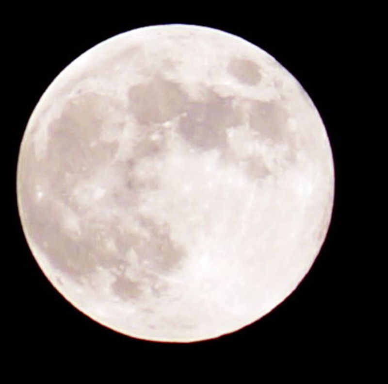 dscf0122.jpg