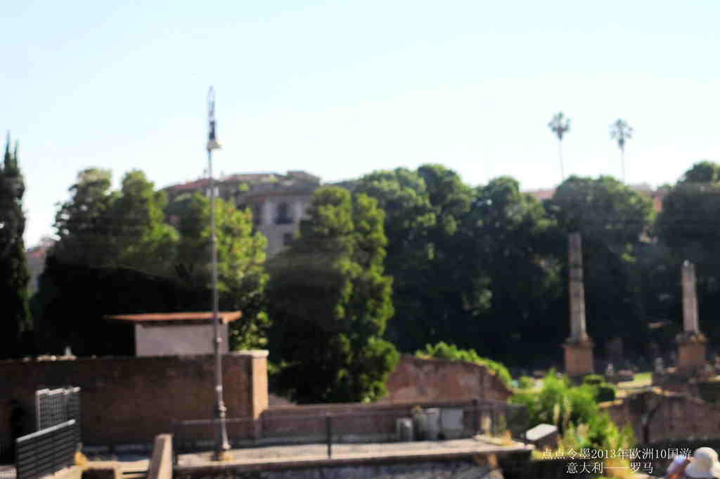 img_8739_����.jpg