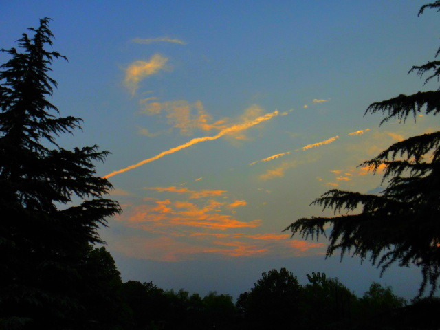 ds1c01260_����.jpg
