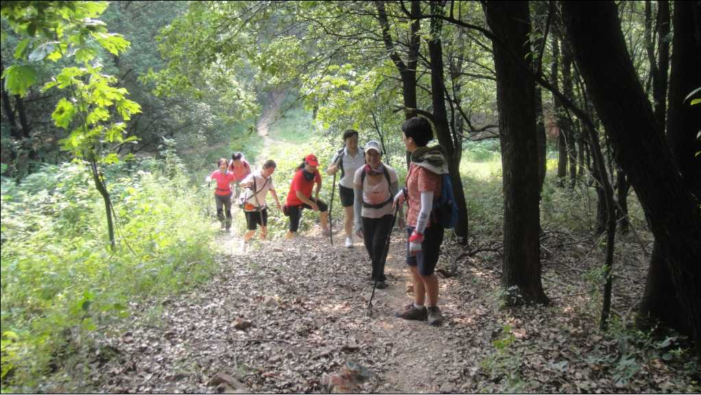86.jpg