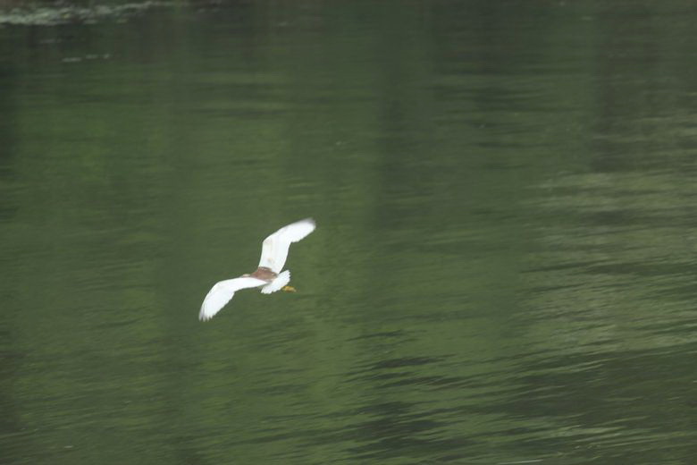 neo_img_img_9712.jpg
