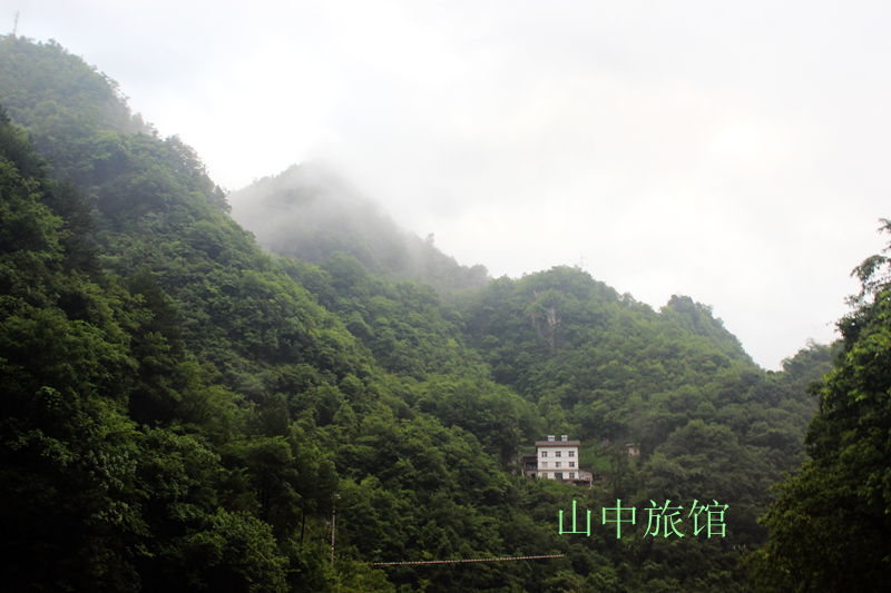 img_2158.jpg