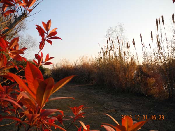 DSCN0815.JPG