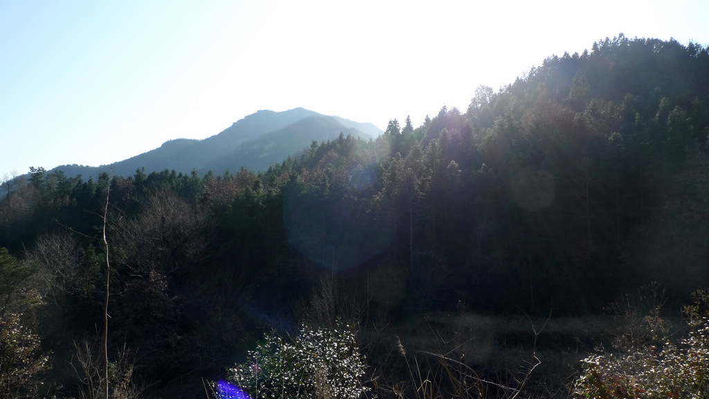 2011121222403581781.jpg