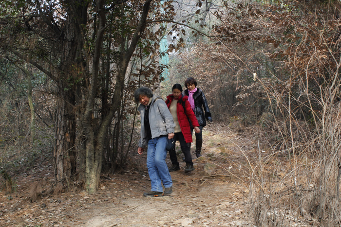 _MG_1679.jpg