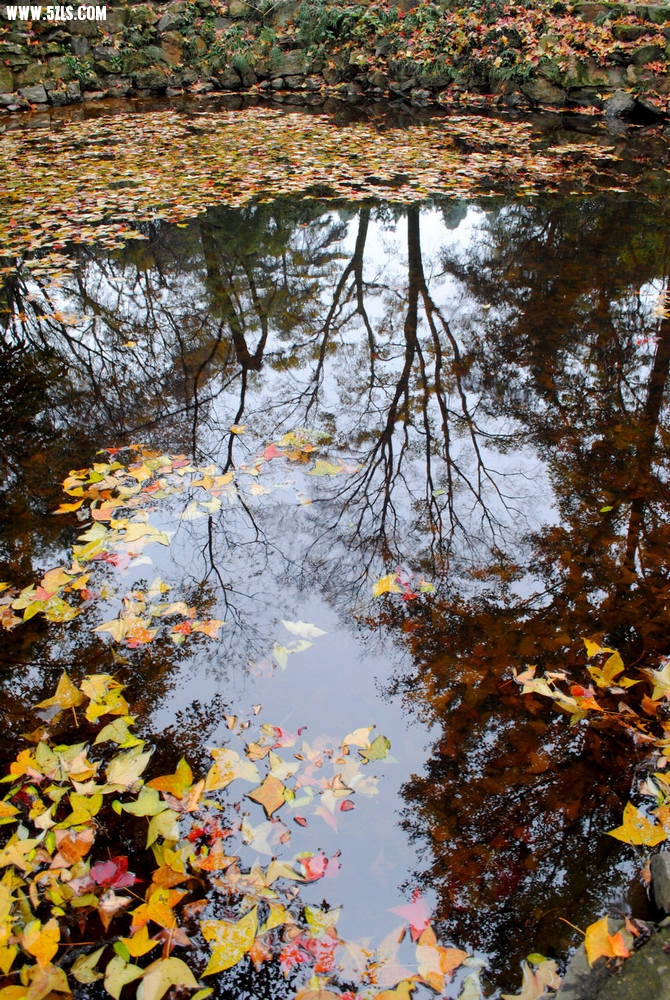DSC_06421.jpg