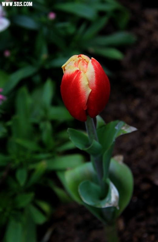 IMG_3633.jpg