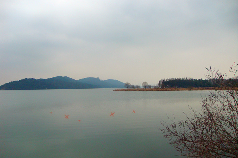 DSC09273_.jpg