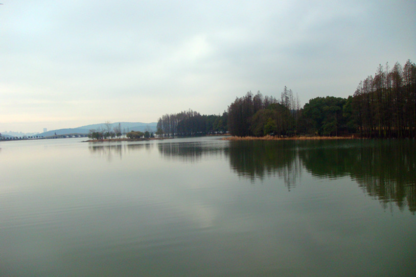 DSC09275_.jpg