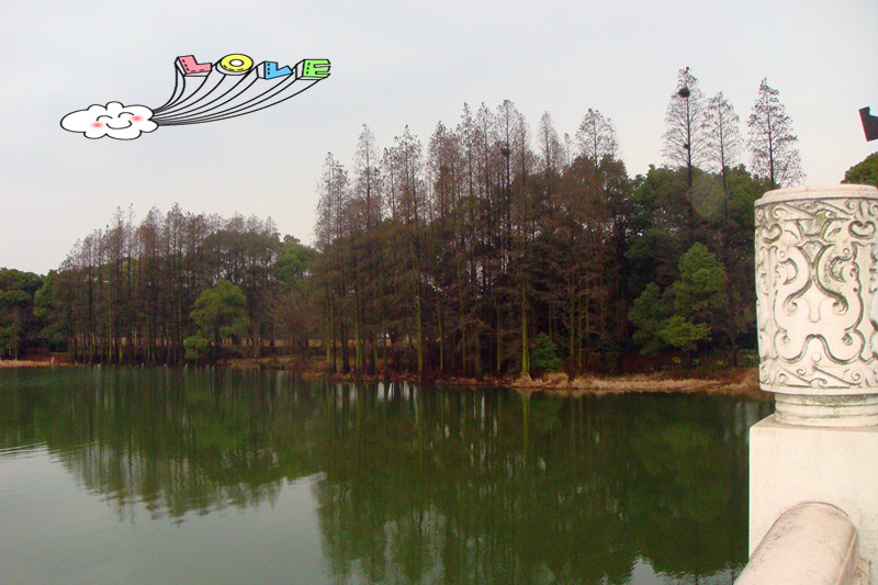 DSC09276_.jpg