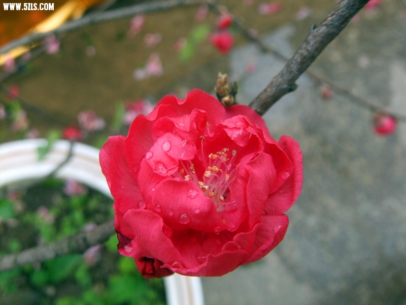 DSCF9275_.jpg