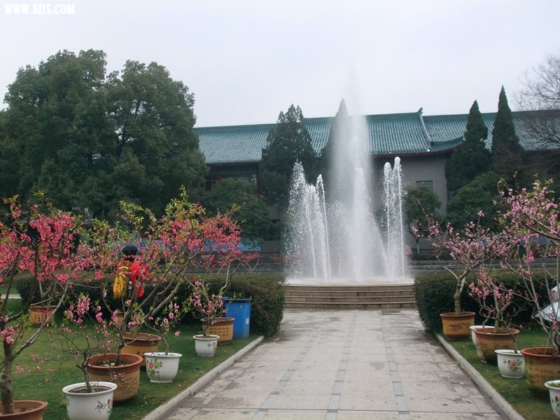 DSCF9279_.jpg