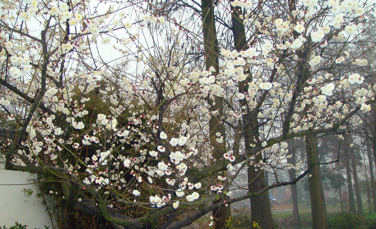 DSC09356_.jpg