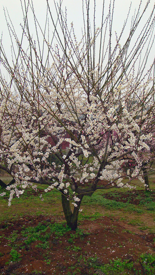 DSC09360_.jpg