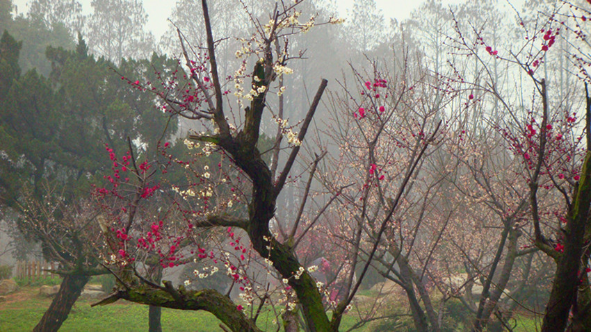 DSC09361_.jpg