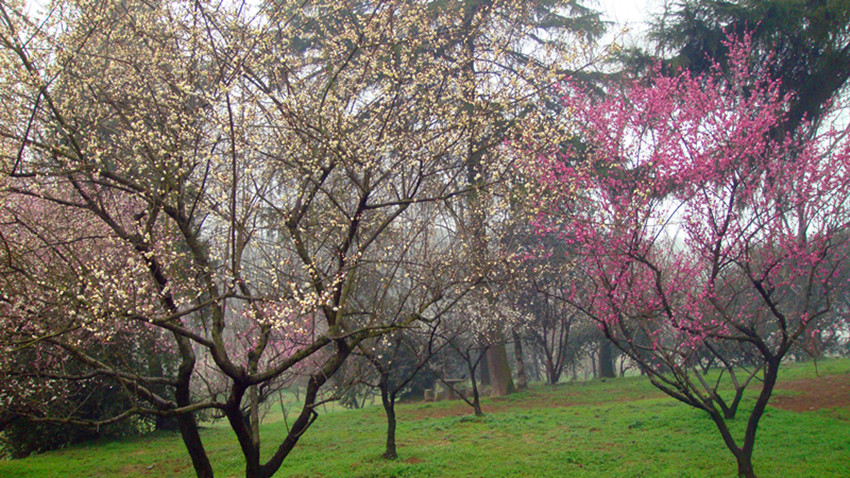 DSC09363_.jpg