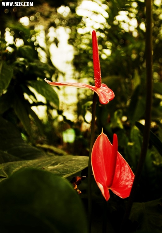 _MG_3297.jpg