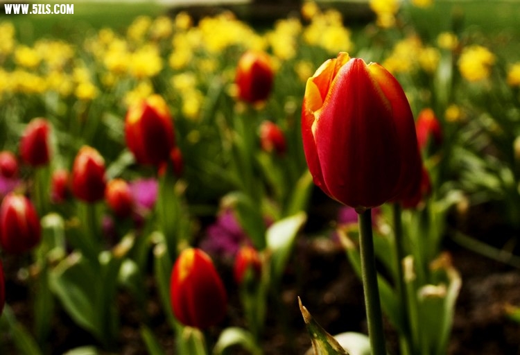 _MG_3327.jpg