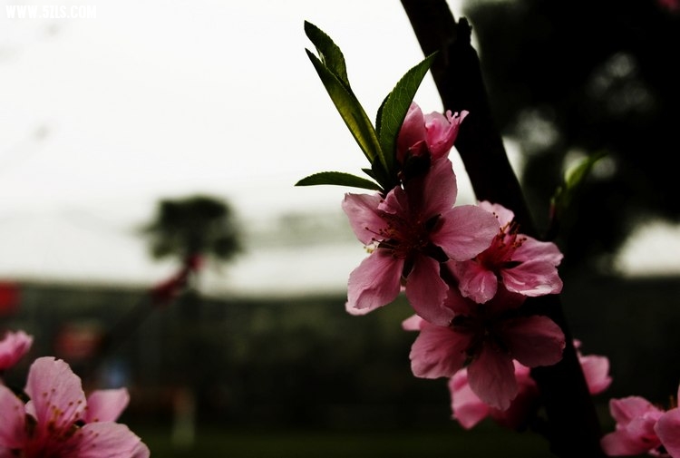 _MG_3328.jpg