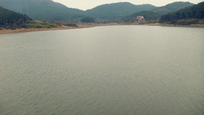 DSC09406_.jpg