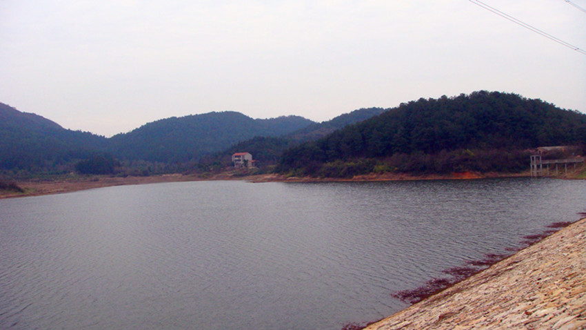 DSC09408_.jpg