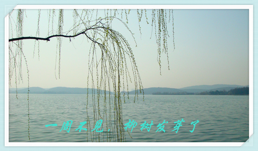 DSC09425_.jpg