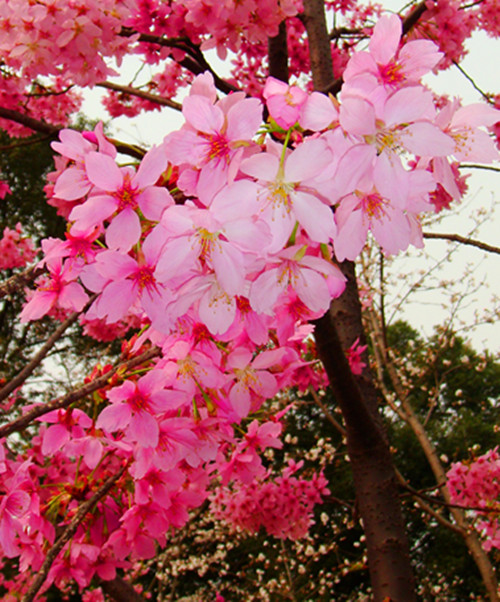 DSC09435_.jpg