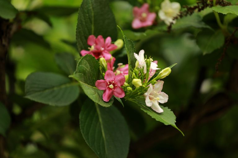 3C1A0176.JPG