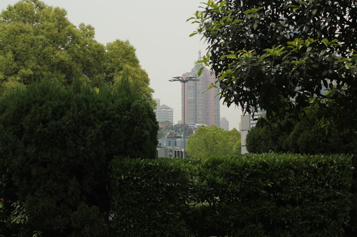 IMG_8219.jpg