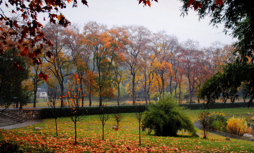 DSC_037411.jpg