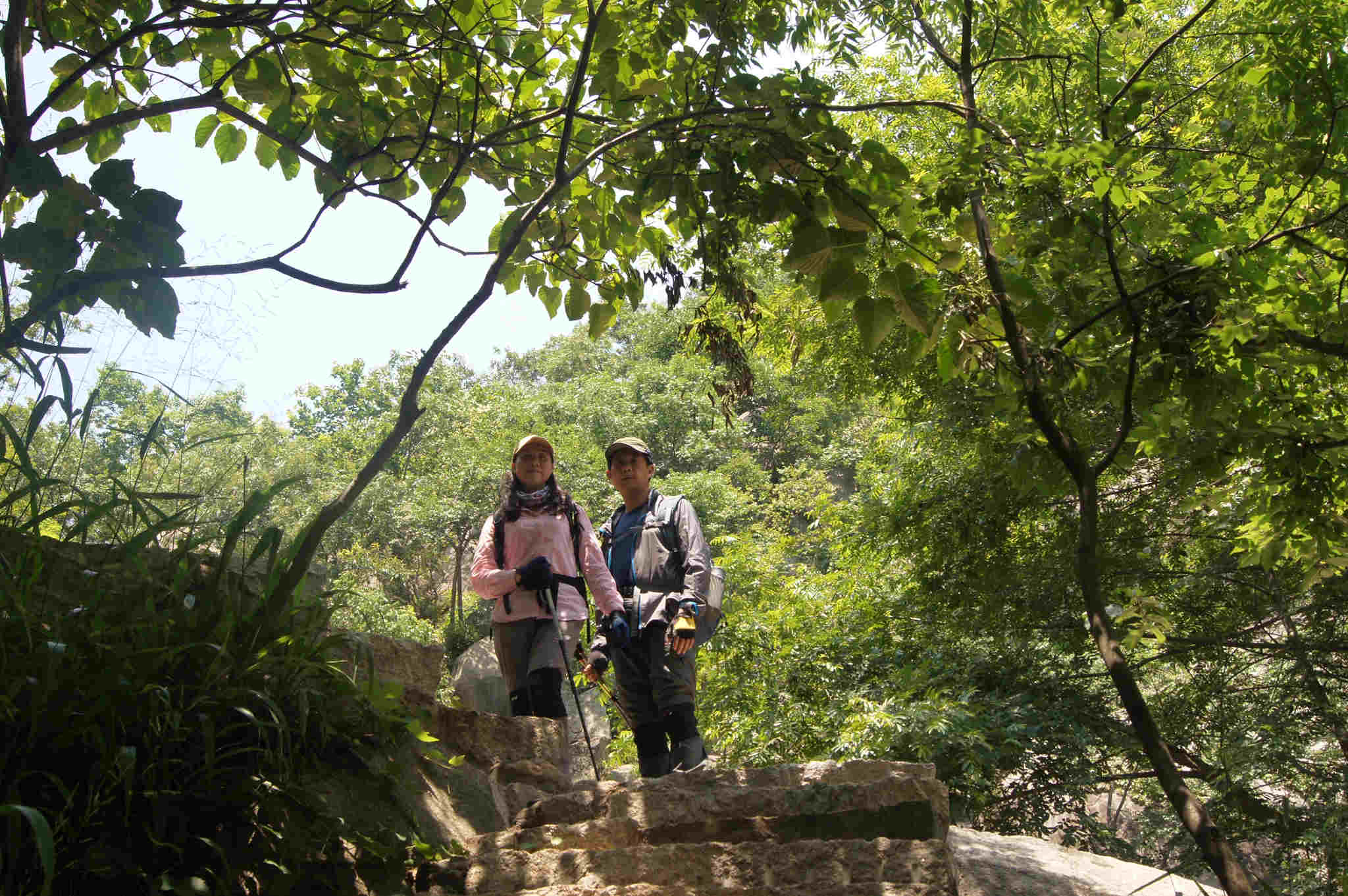 DSC06525.jpg