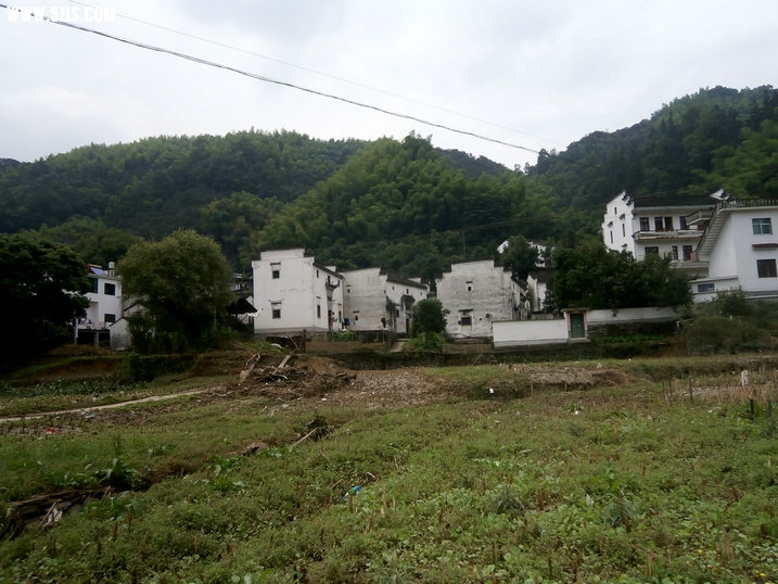 68.jpg