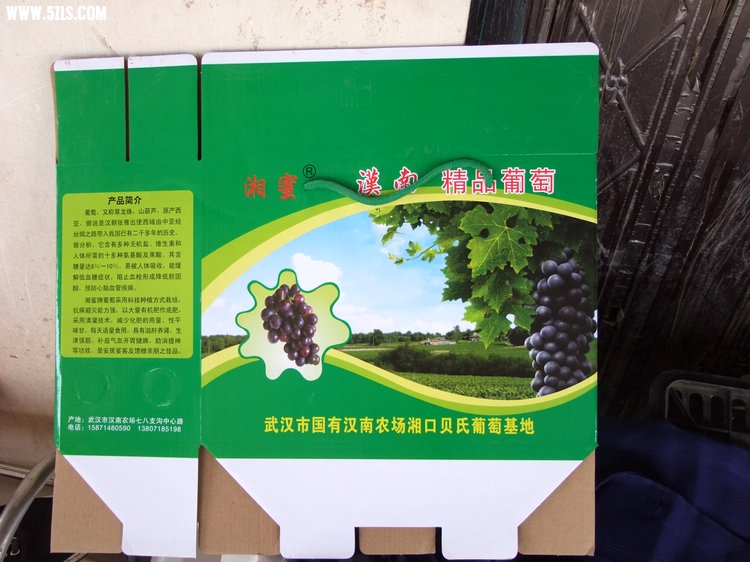 DSCF5554.JPG