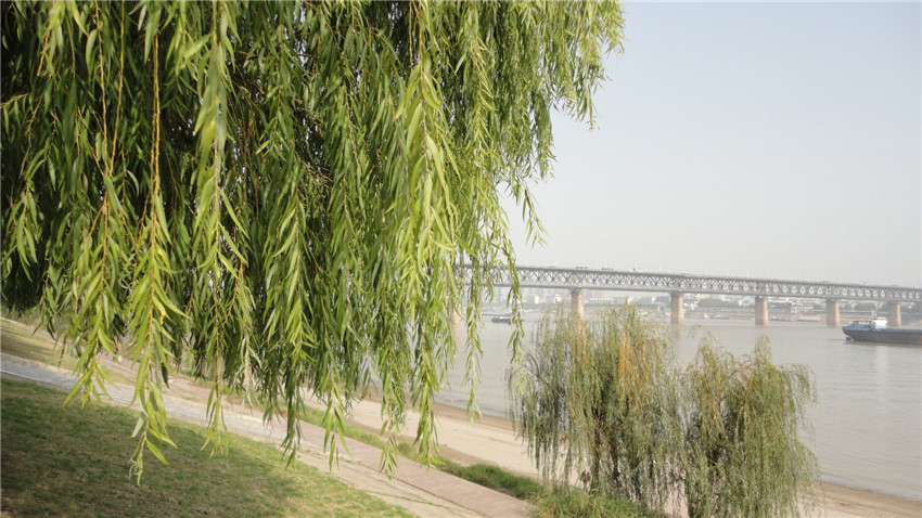 DSC05856_.jpg