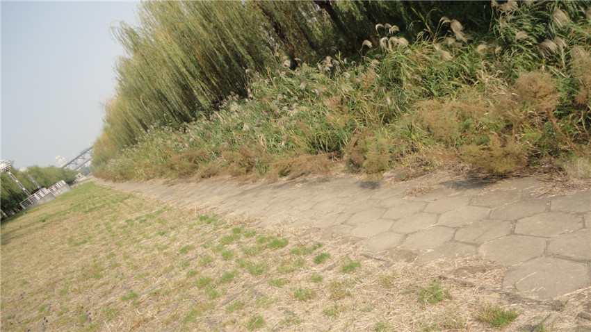 DSC05875_.jpg