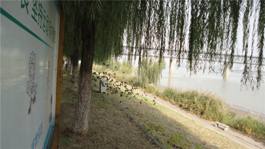 DSC05883_.jpg