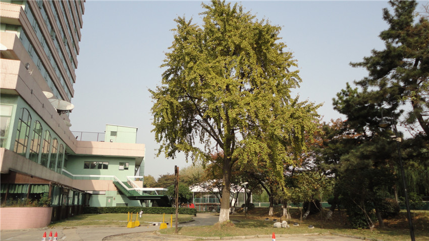 DSC05890_.jpg