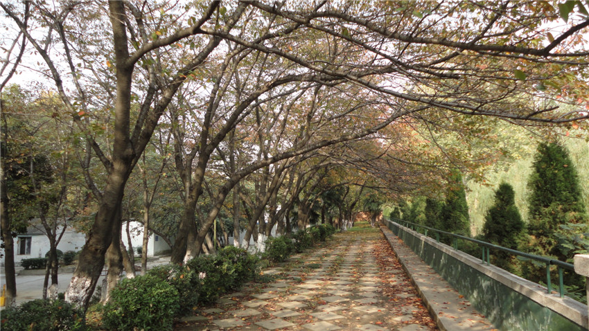 DSC05896_.jpg