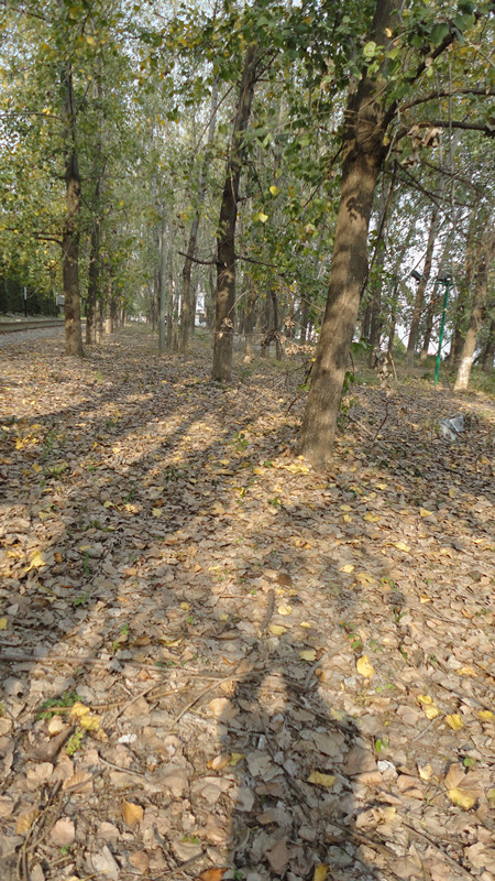 DSC05907_.jpg