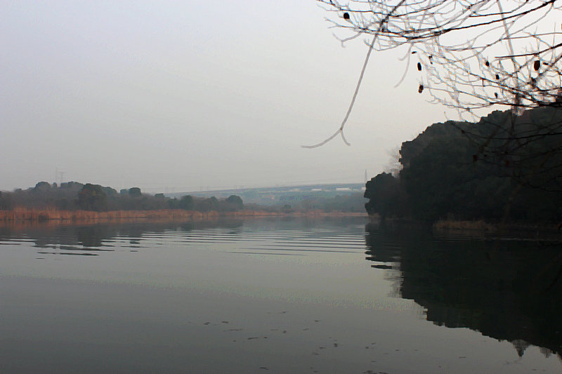 2014112ͽ 006.jpg